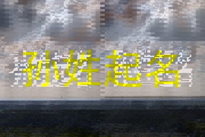 孙姓起名