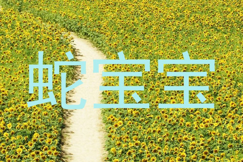 蛇宝宝