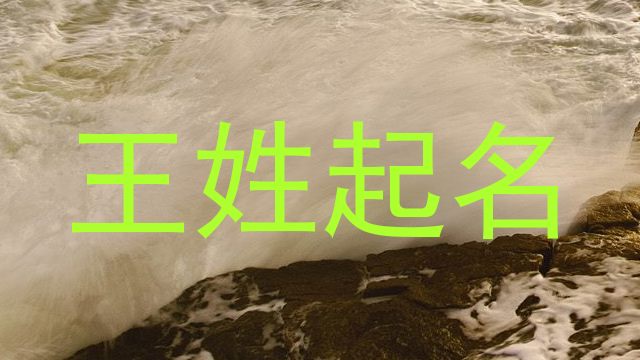 王姓起名