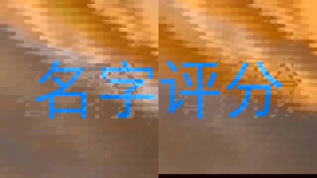 名字评分