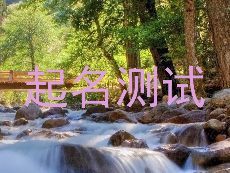 起名测试