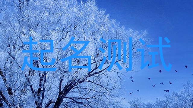 起名测试