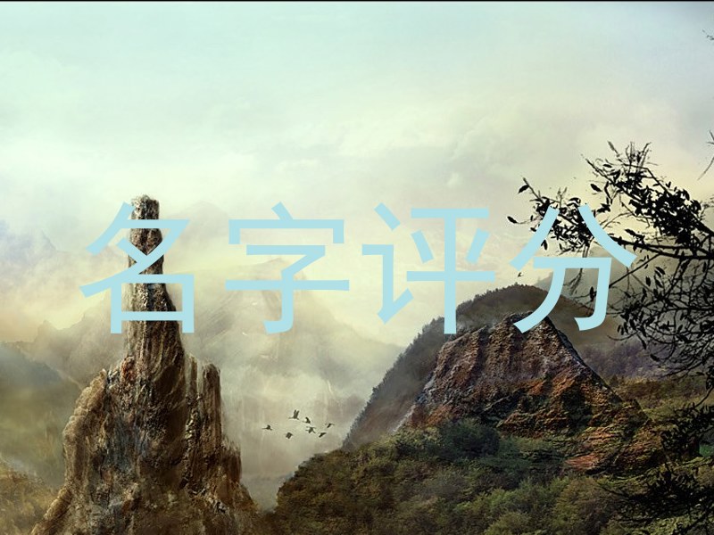 名字评分