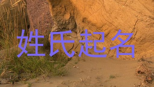 姓氏起名
