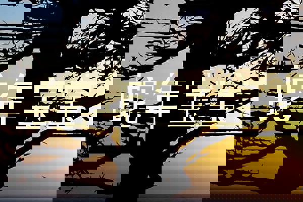 蛇年宝宝