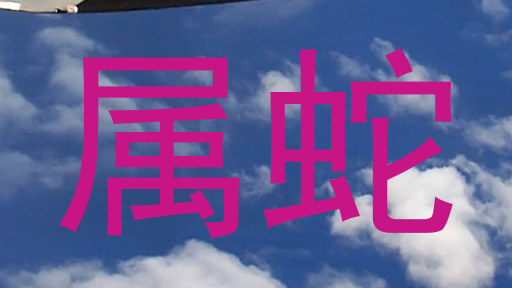 属蛇