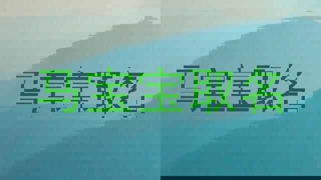 马宝宝取名