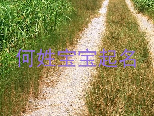 何姓宝宝起名