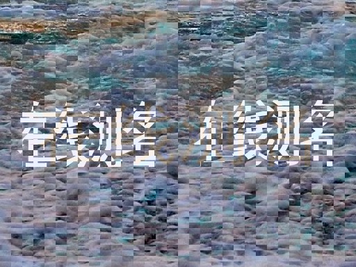 在线测名