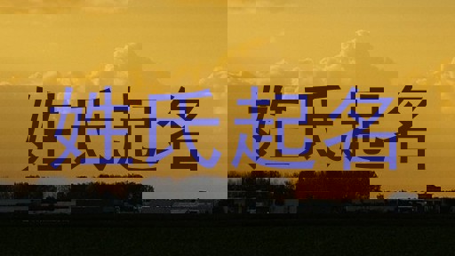 姓氏起名