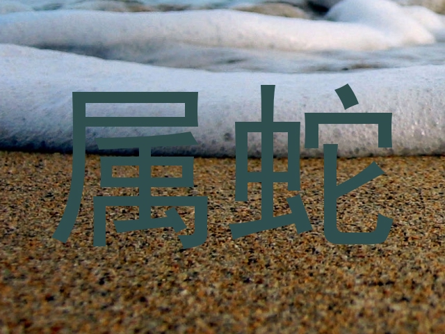 属蛇