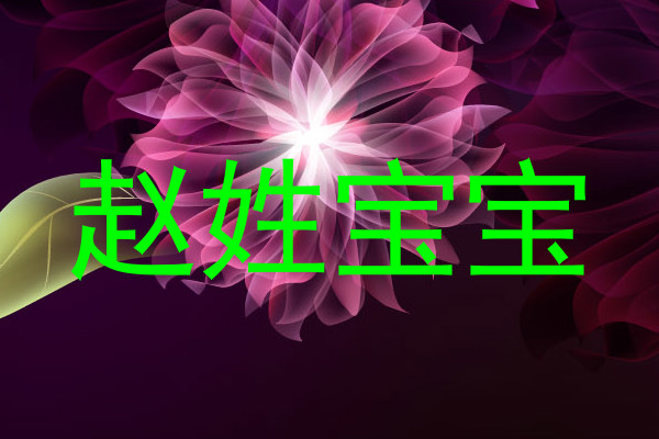 赵姓宝宝