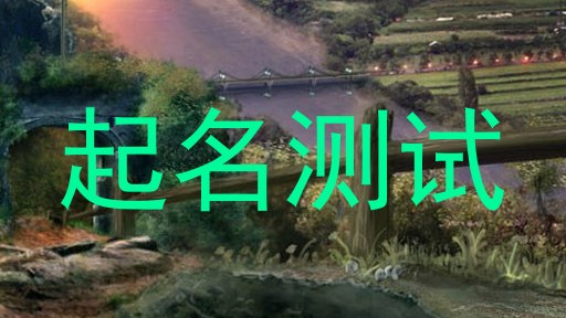 起名测试