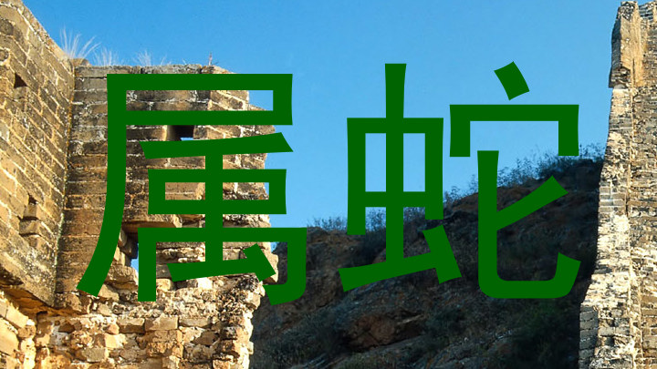 属蛇