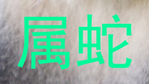 属蛇