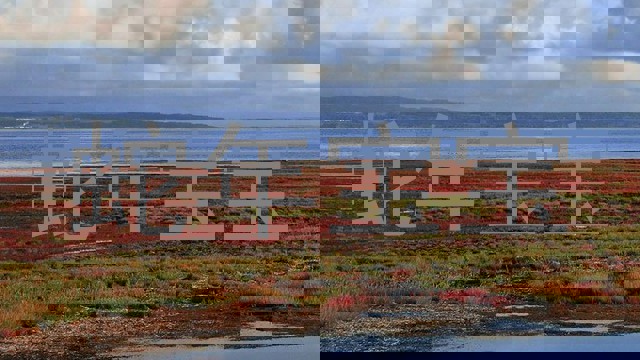 蛇年宝宝
