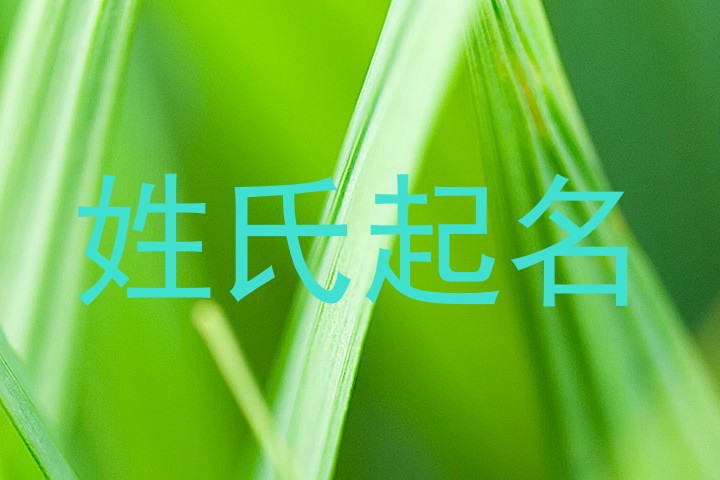 姓氏起名