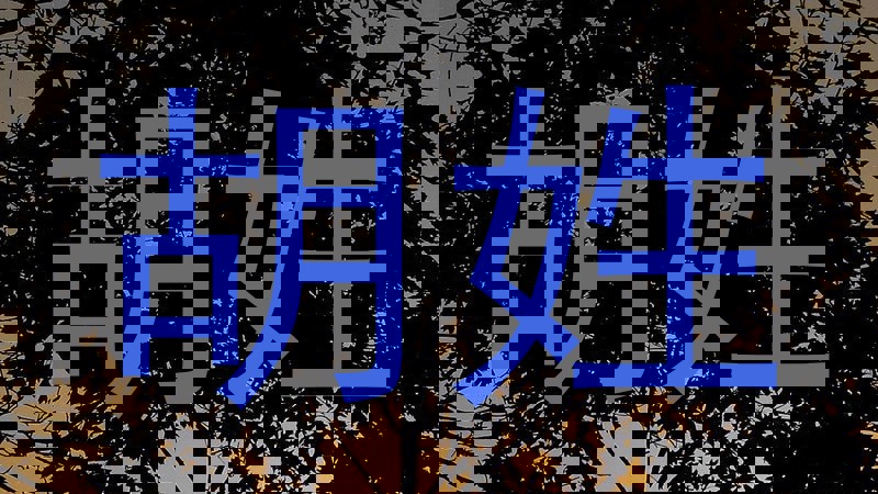 胡姓