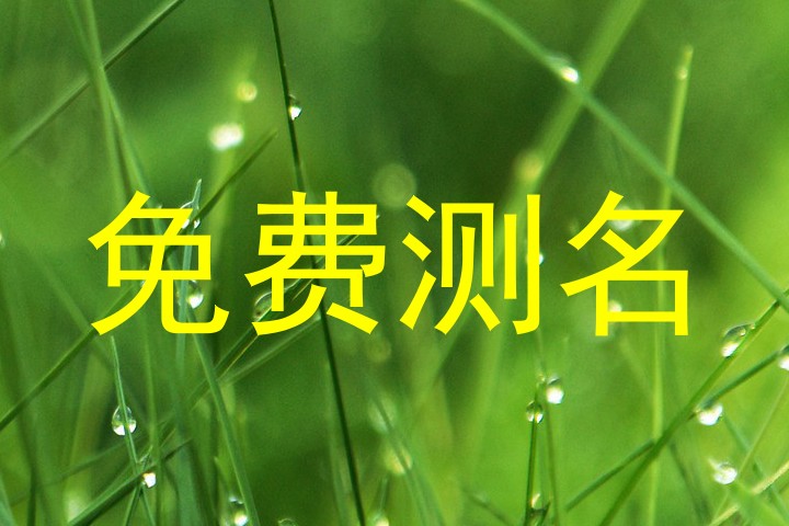 免费测名