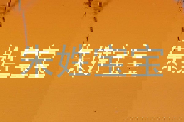 朱姓宝宝
