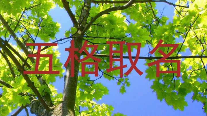 五格取名