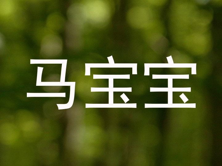 马宝宝