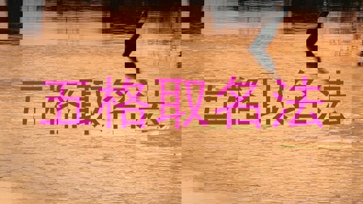 五格取名法