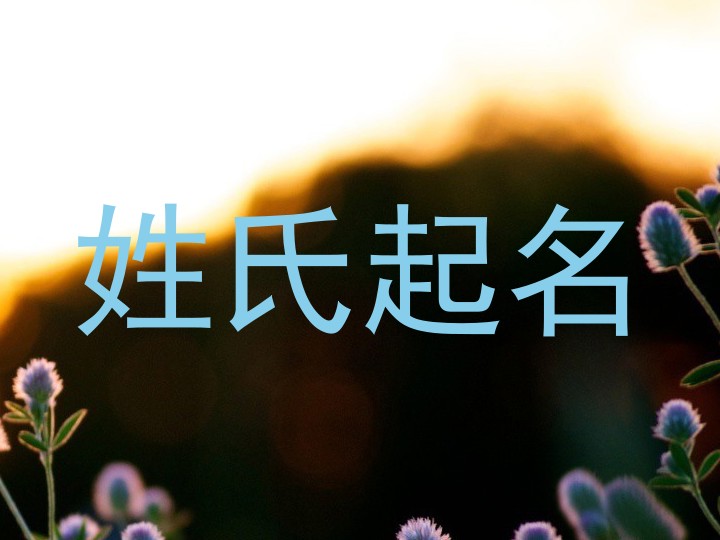 姓氏起名