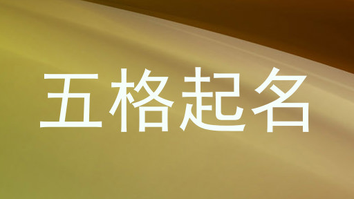 五格起名