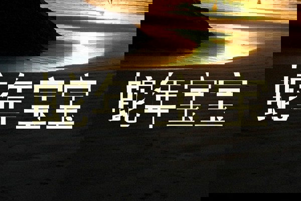 蛇年宝宝