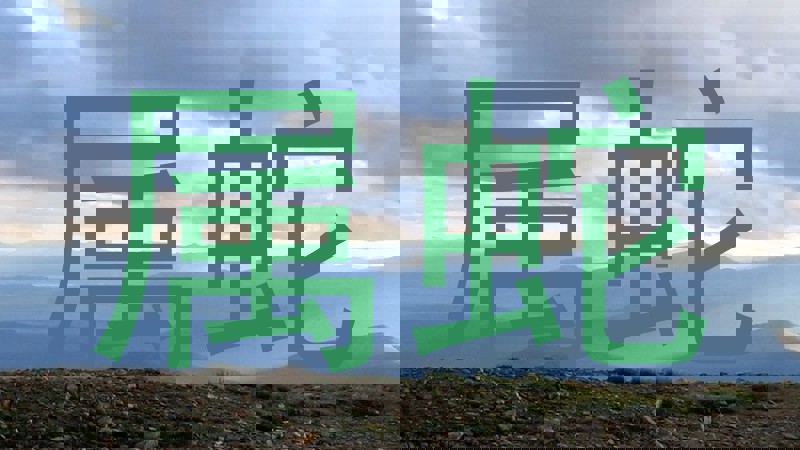 属蛇