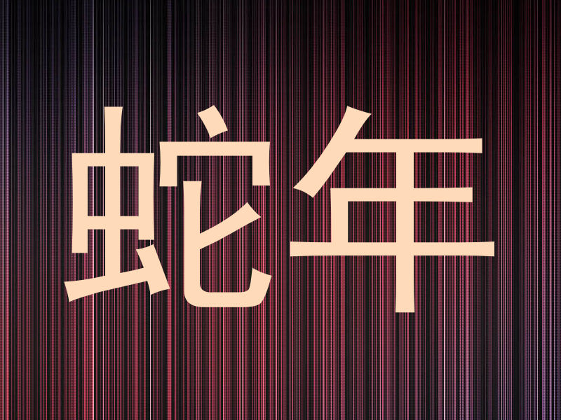 蛇年