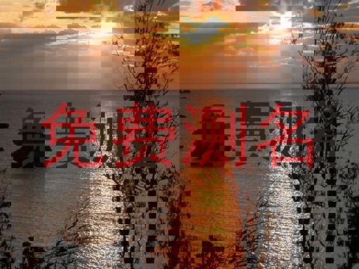 免费测名