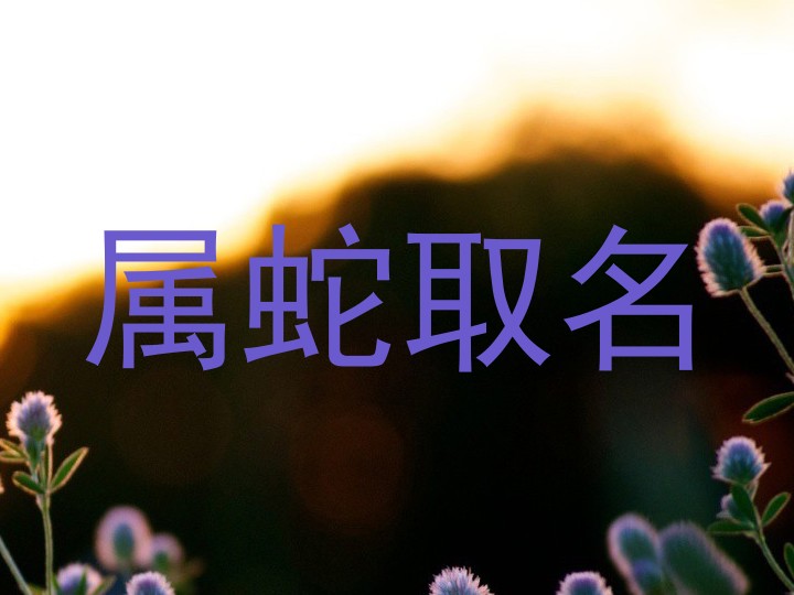 属蛇取名