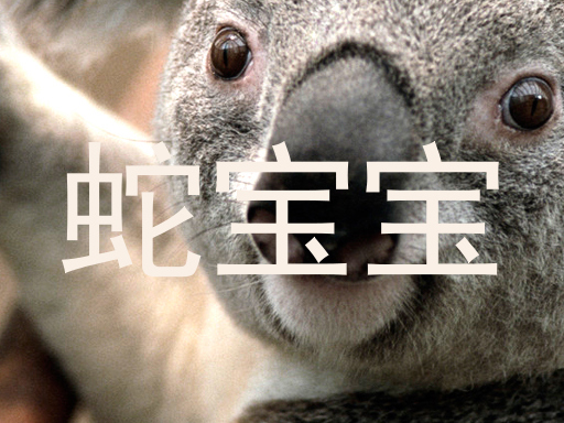 蛇宝宝