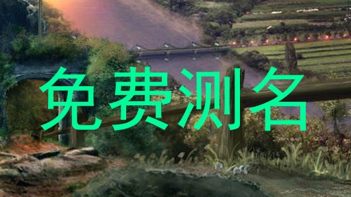免费测名