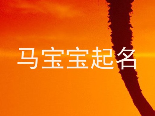 马宝宝起名