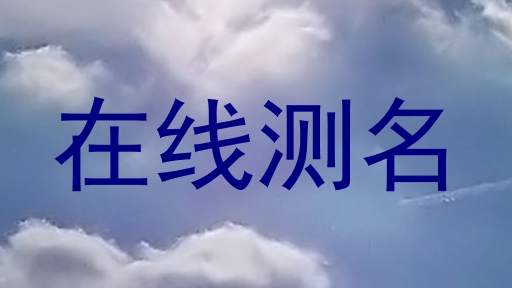 在线测名