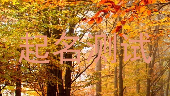 起名测试