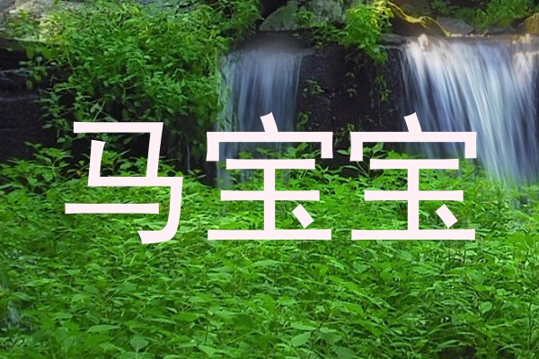 马宝宝