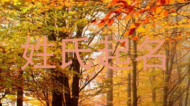 姓氏起名