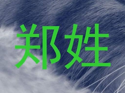 郑姓