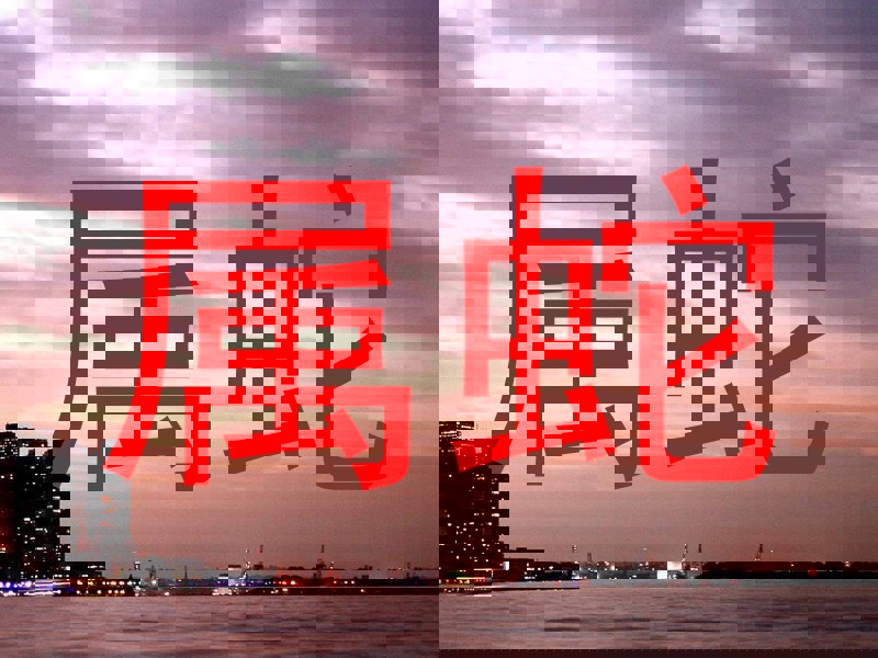 属蛇
