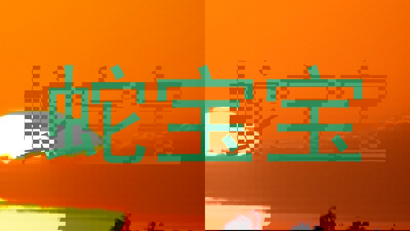 蛇宝宝