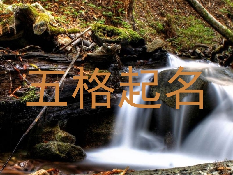 五格起名