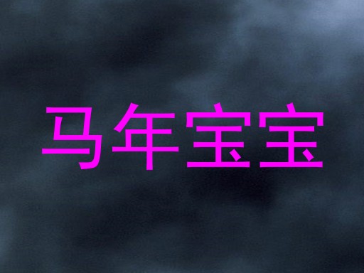 马年宝宝