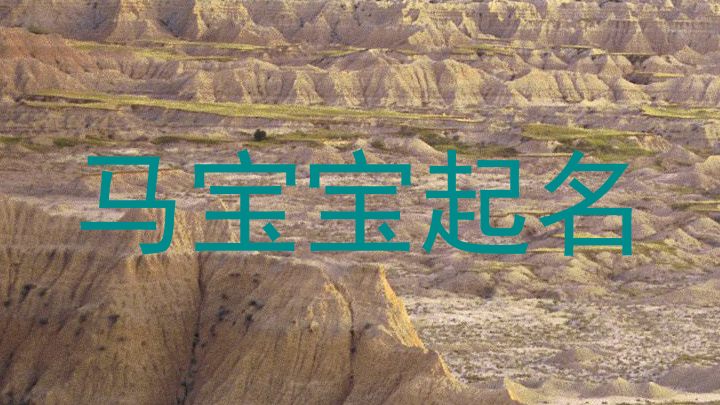 马宝宝起名
