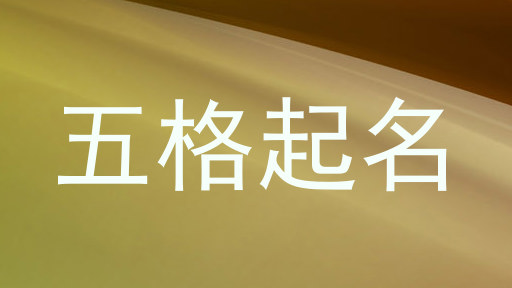 五格起名