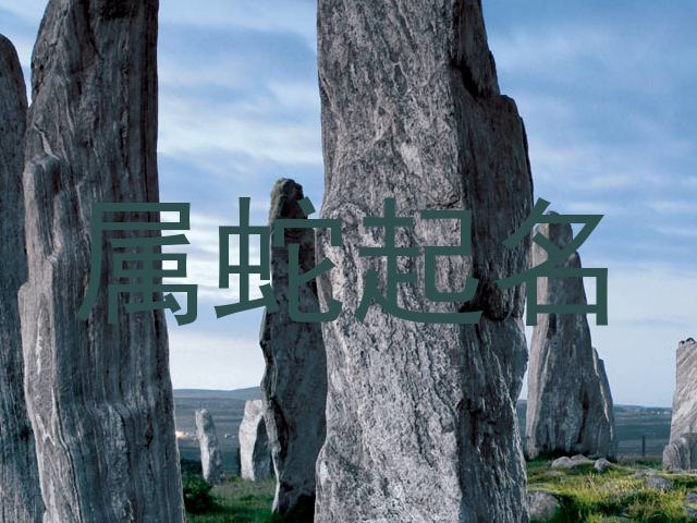 属蛇起名