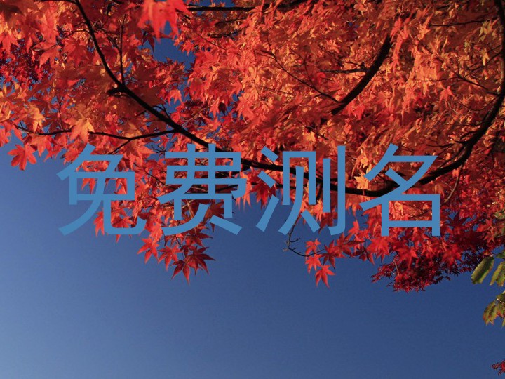 免费测名